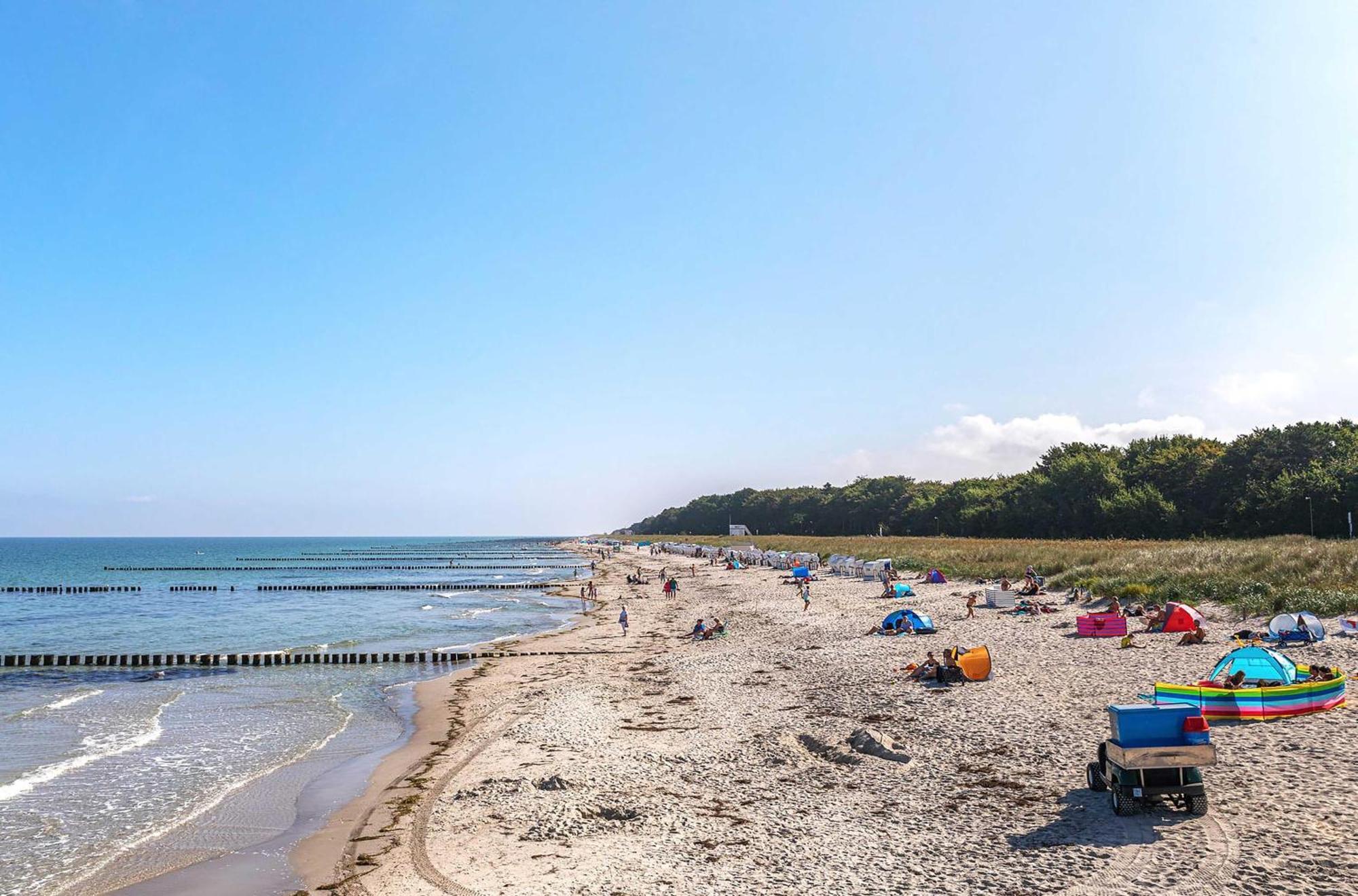 Seebaer Mit Terrasse Zingst Exterior photo